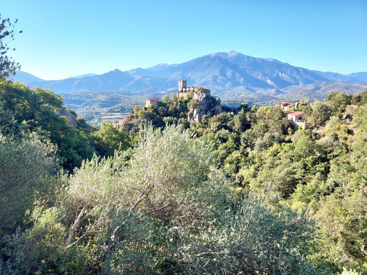 Holiday home L'ours Brun